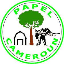 Logo de PAPEL